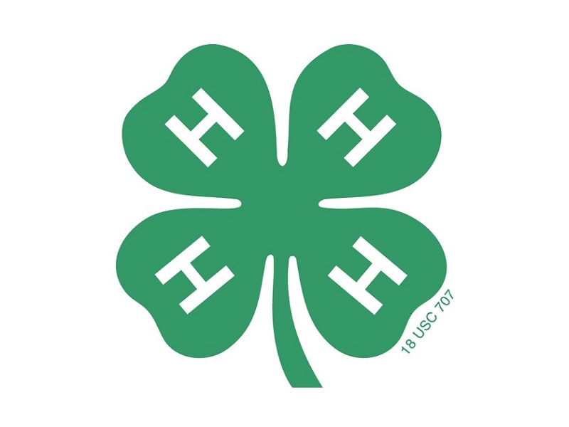 4 H Clover Rules